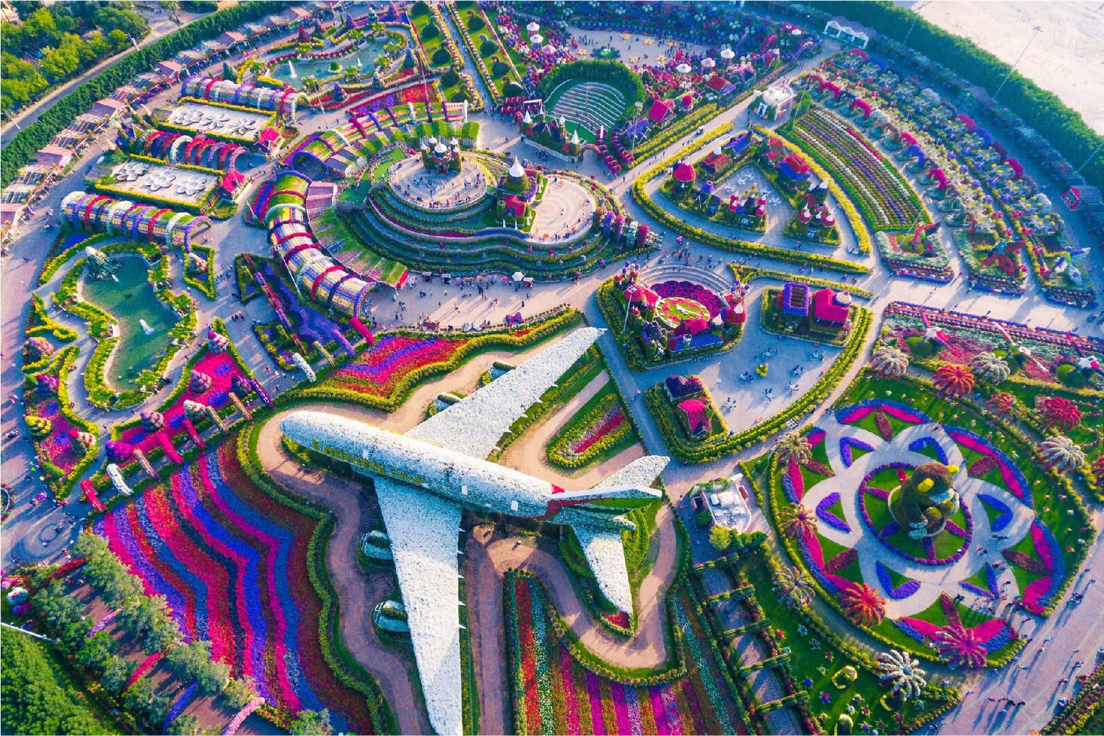 Miracle Garden And Global Village Tour