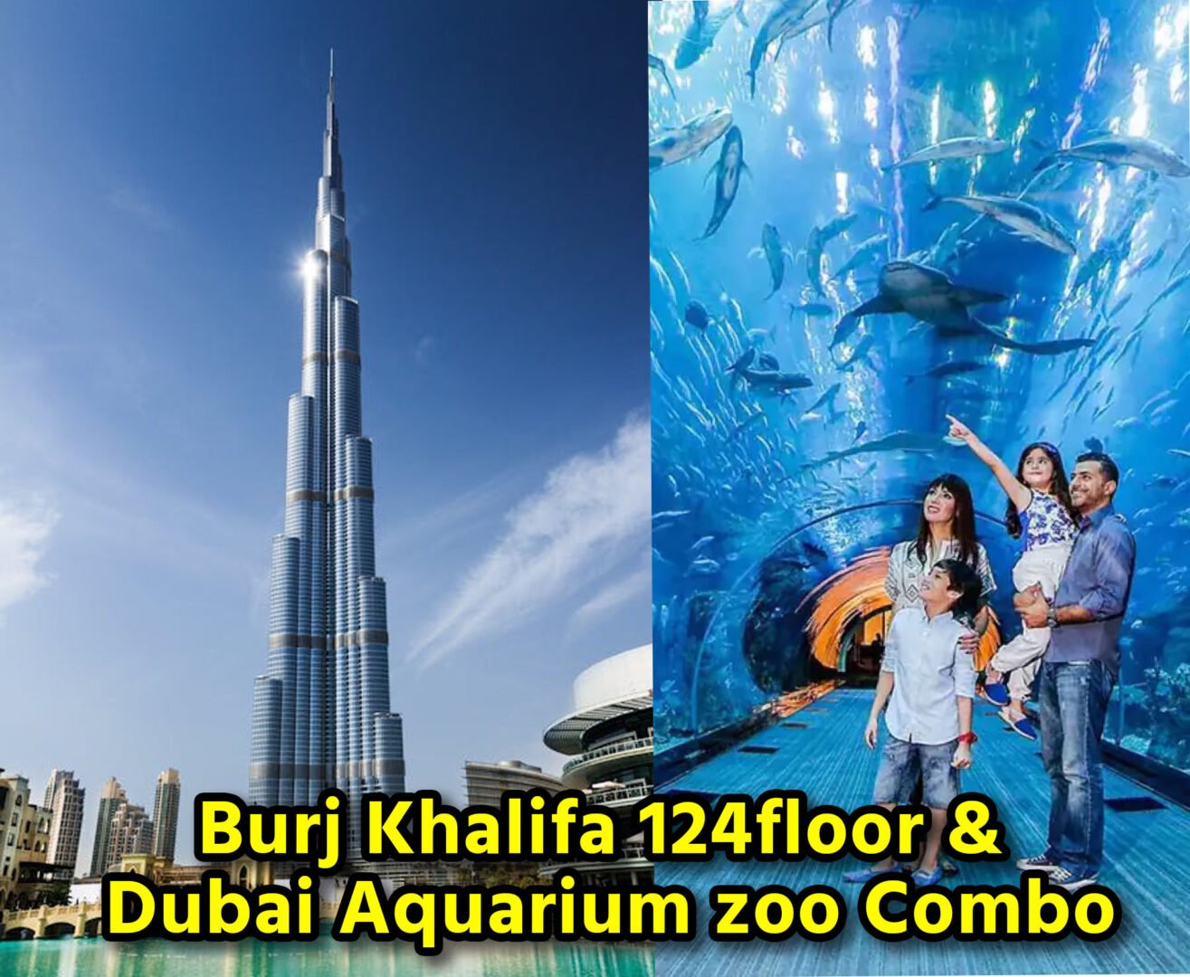 Burj Khalifa 124th & 125th floor with Dubai Aquarium underwater zoo combo Tickets