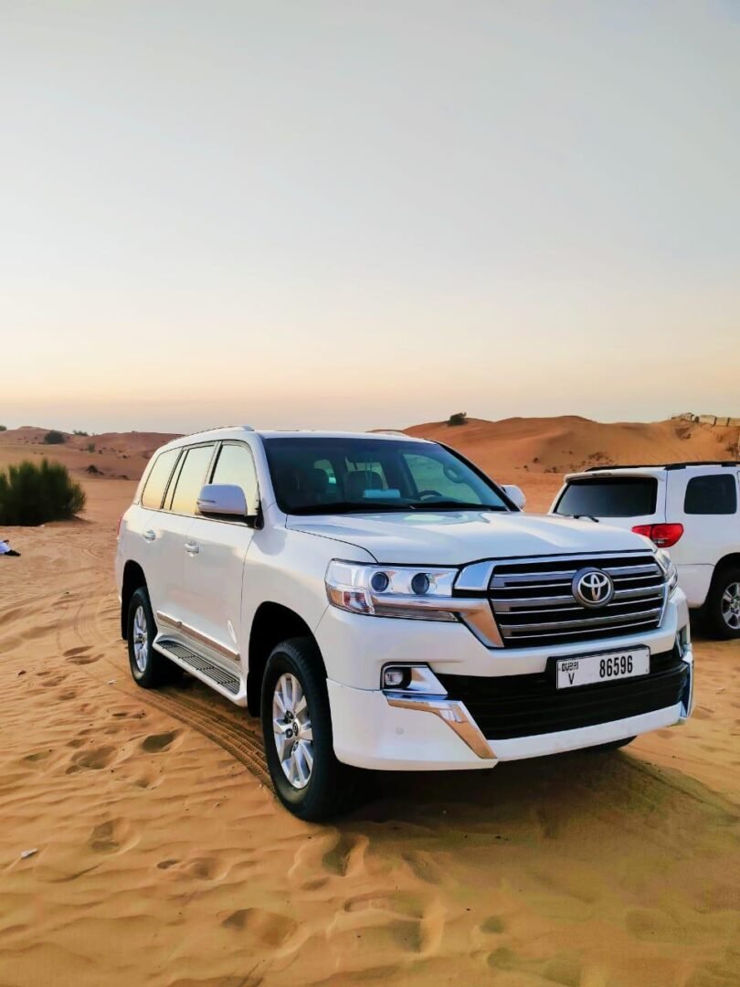 Morning Desert Safari