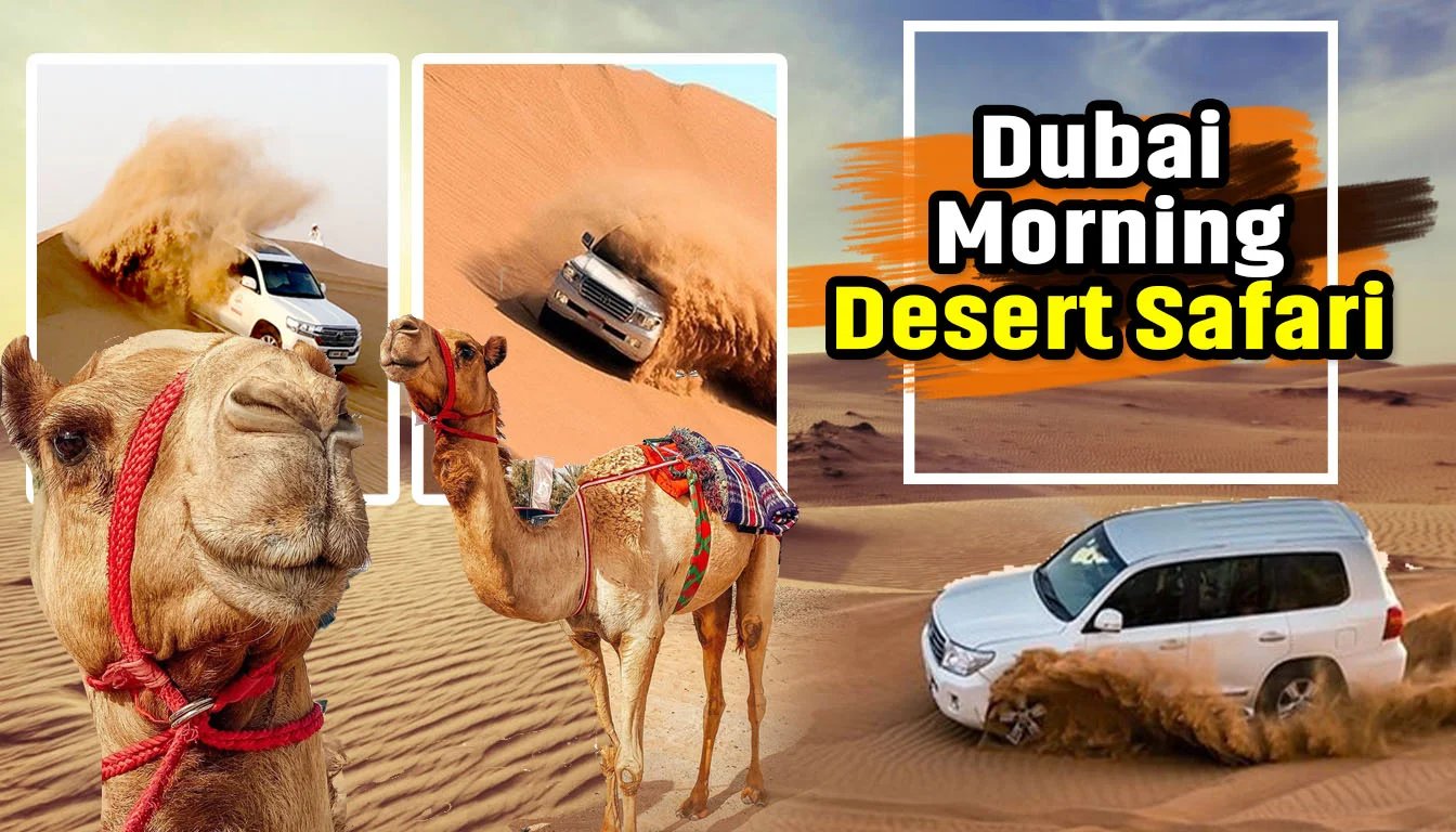 Dubai Morning Safari