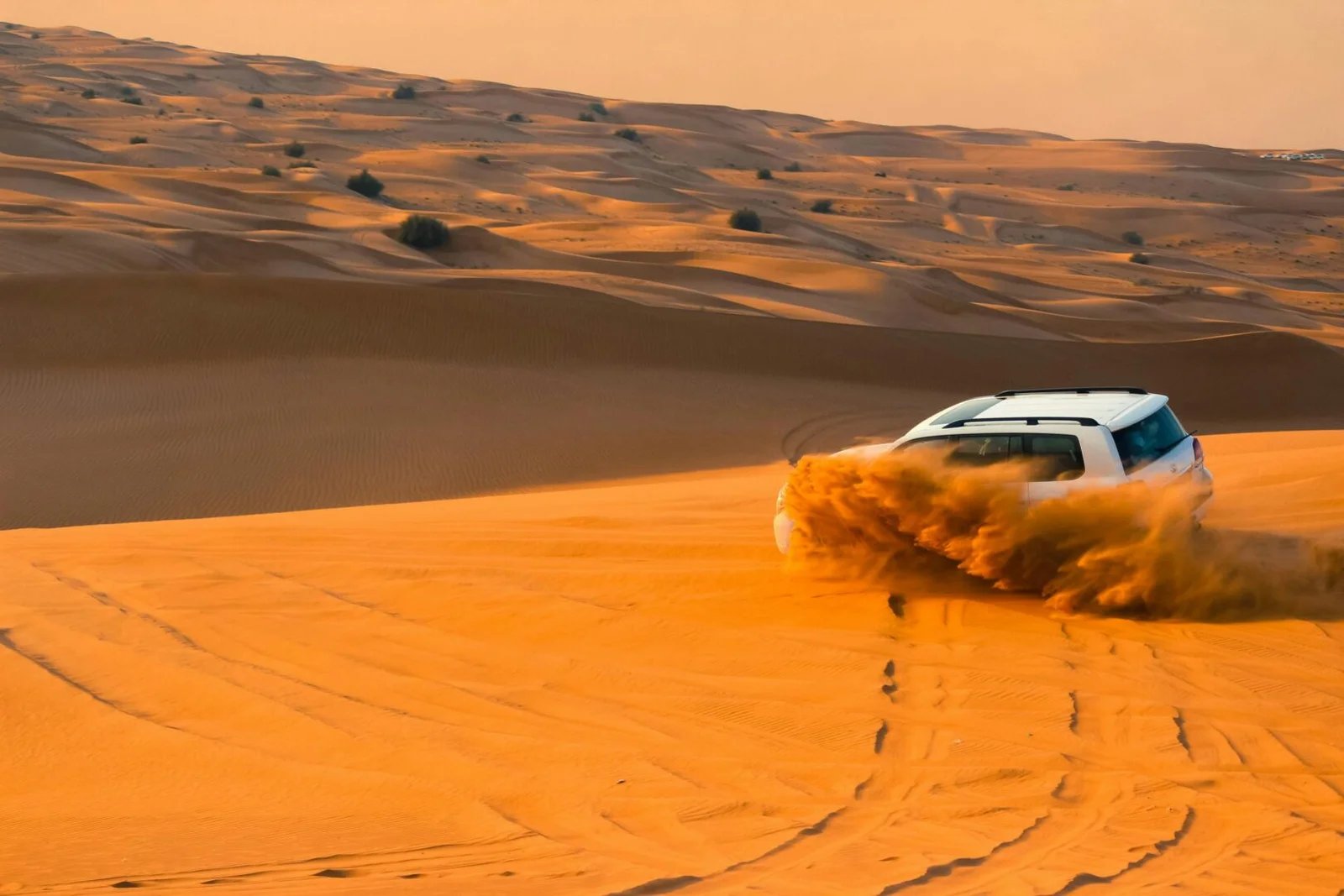 Evening Desert Safari with BBQ and Shows